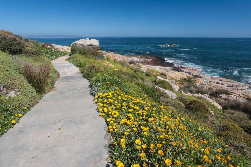 Mountain And Sea Cottage Hermanus Exterior photo